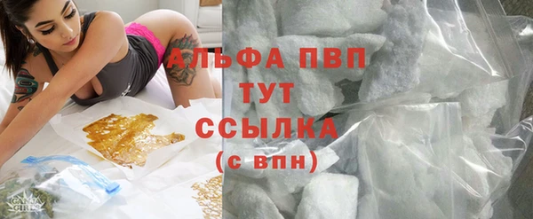 тгк Новодвинск