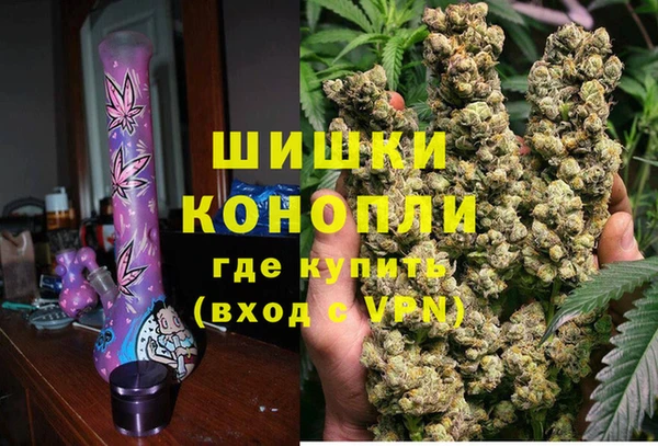 тгк Новодвинск