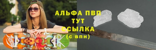 тгк Новодвинск
