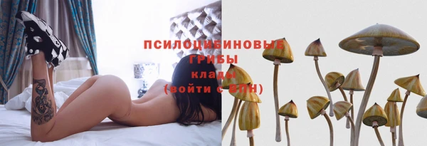 тгк Новодвинск