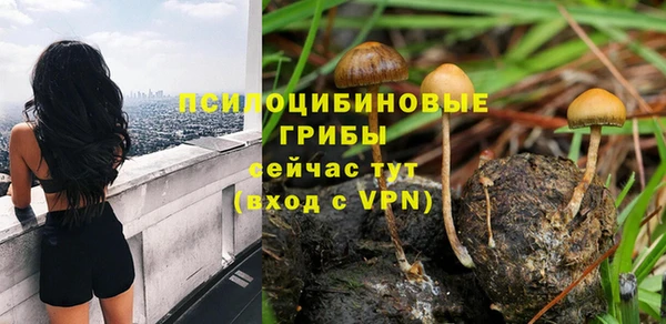 марки nbome Новокубанск