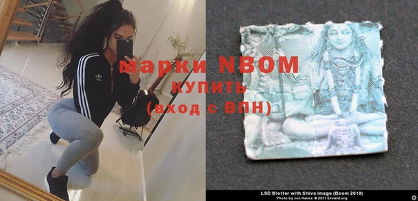 тгк Новодвинск