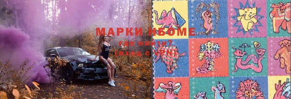 тгк Новодвинск