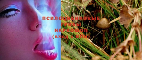 тгк Новодвинск